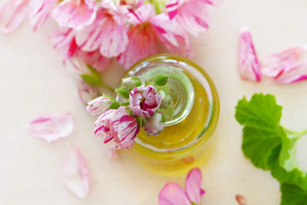 oil, geraniums, leaves-3006588.jpg